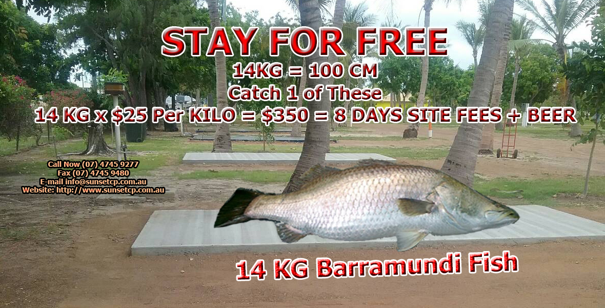 Karumba Point Sunset Caravan Park Accommodation Hotels Cabins Birds Watching Kangaroo Barramundi Fishing Fish Booking