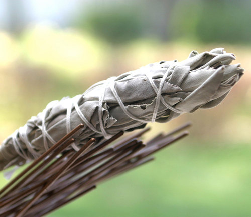 Sage is a natural mosquito repellent