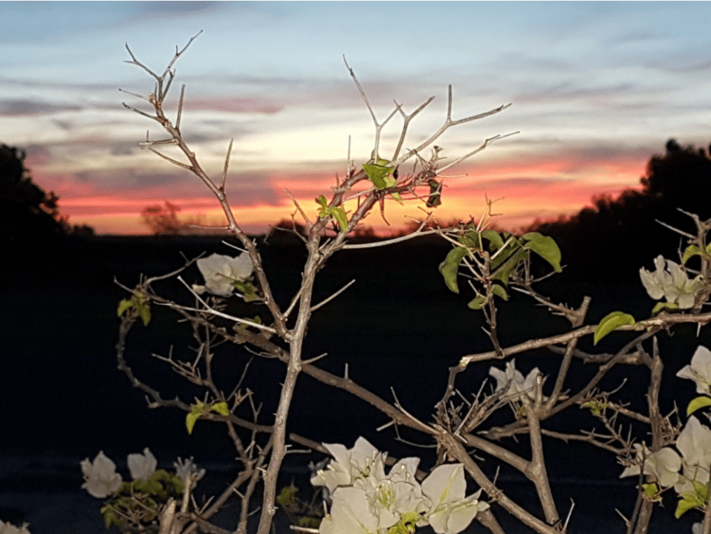 Park View Karumba Point Sunset Caravan Park January 2018