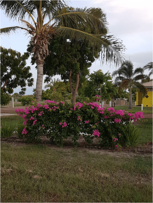 Park View Karumba Point Sunset Caravan Park January 2018
