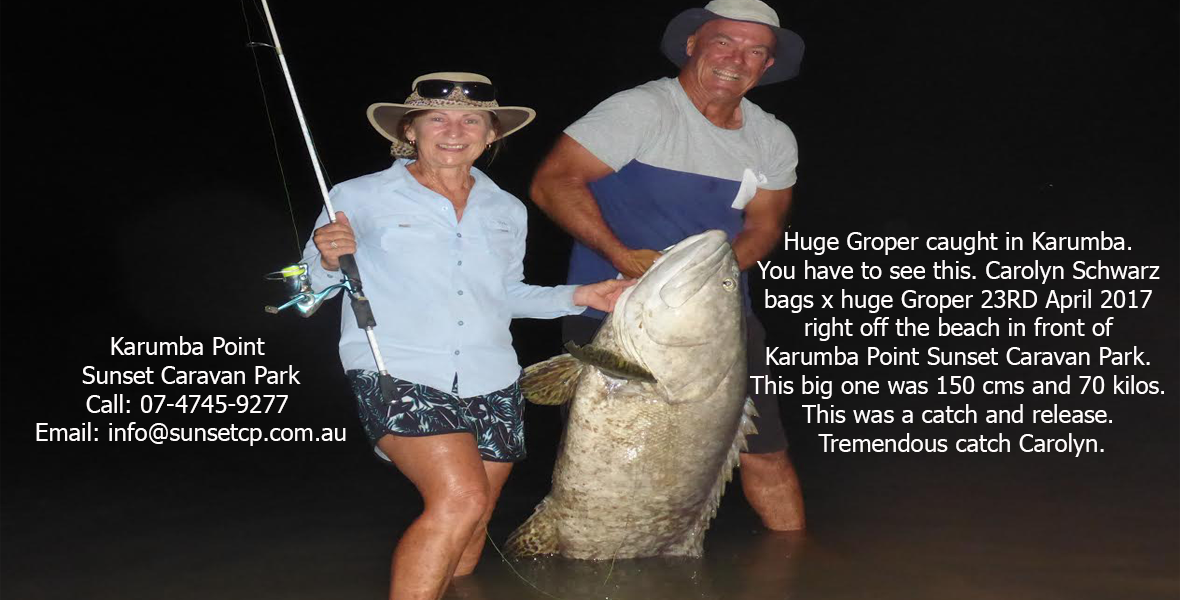 Huge Groper caught in Karumba. You have to see this. Carolyn Schwarz bags x huge Groper 23RD April 2017